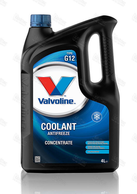 VALVOLINE Antifreeze Coolant 12+ Concentrate 